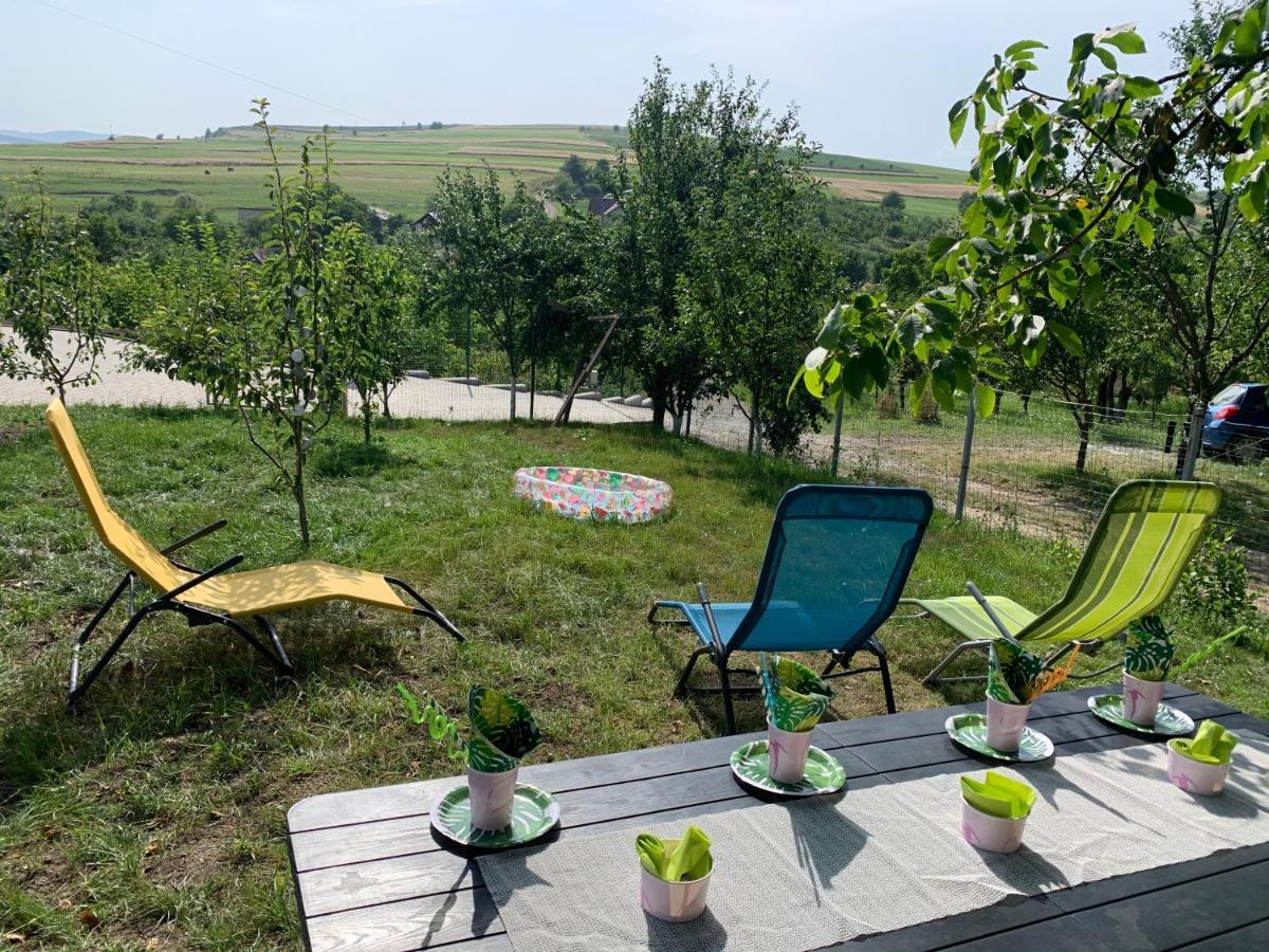 Willa Viktoria House Odorheiu Secuiesc Zewnętrze zdjęcie