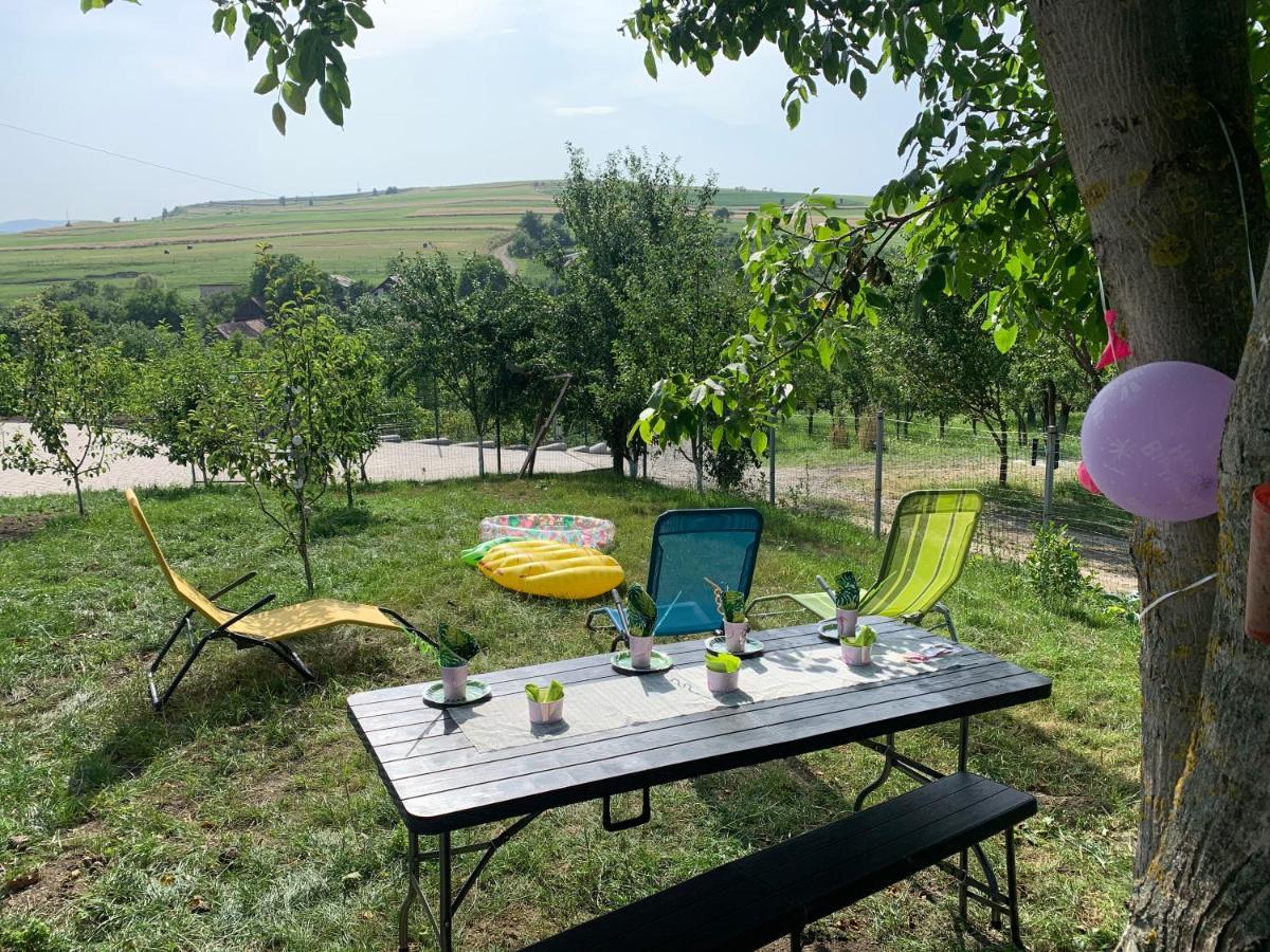 Willa Viktoria House Odorheiu Secuiesc Zewnętrze zdjęcie